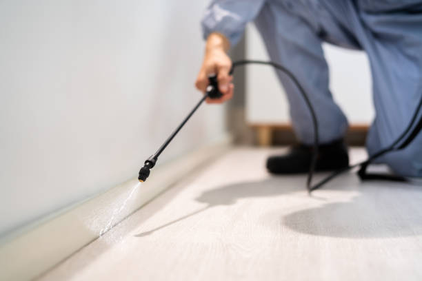 Bed Bug Pre-Treatment Preparation Assessment in Weatherly