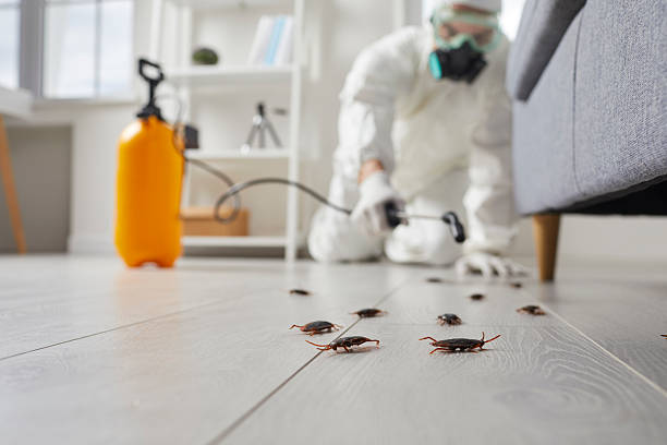 Post-Treatment Bed Bug Interceptor Monitoring in Weatherly