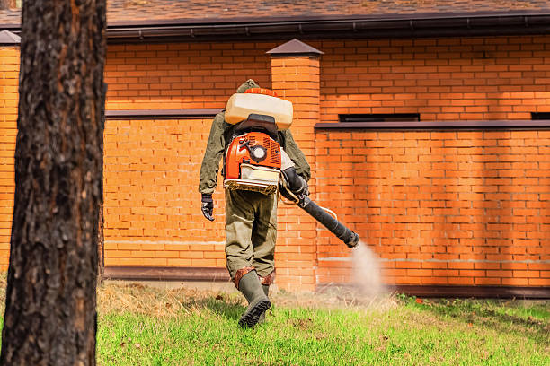 Bed Bug Clearance Verification and Documentation in Weatherly